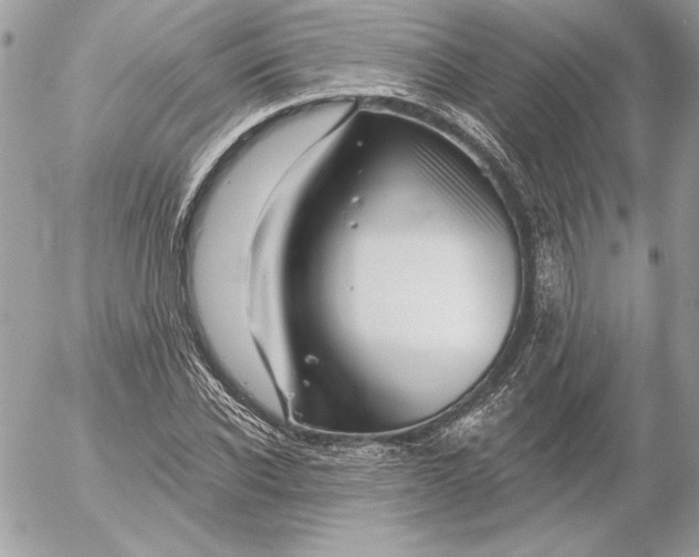 X0000054440926200508191607