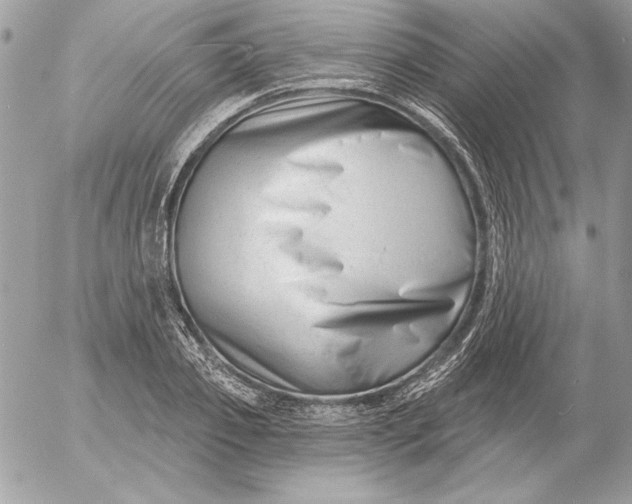 X0000054440933200508191607