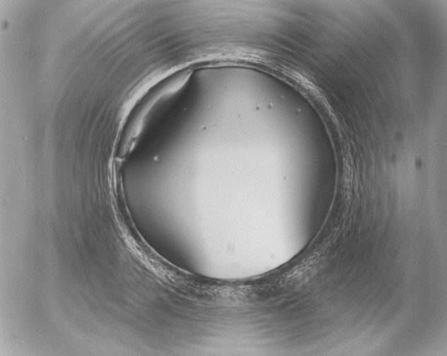 X0000054440936200508191607