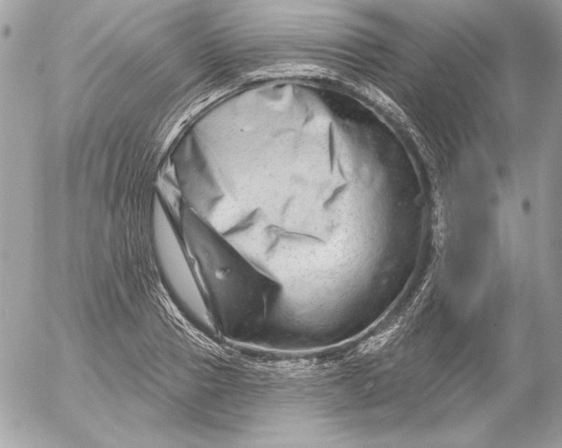 X0000054440937200508191607