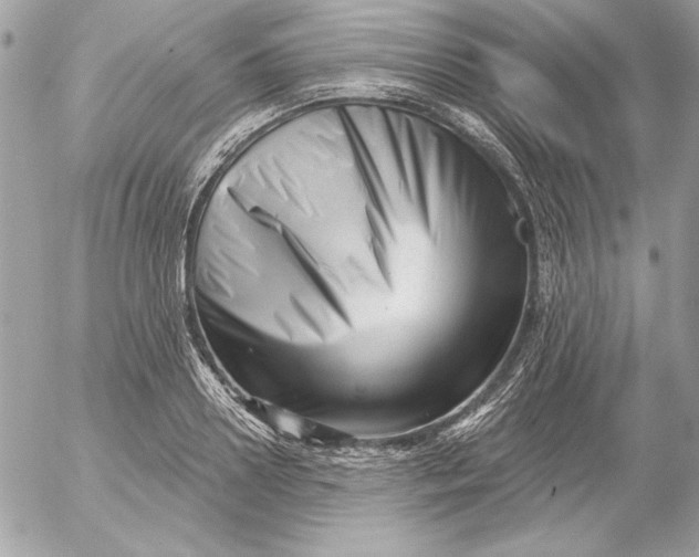 X0000054440938200508191607