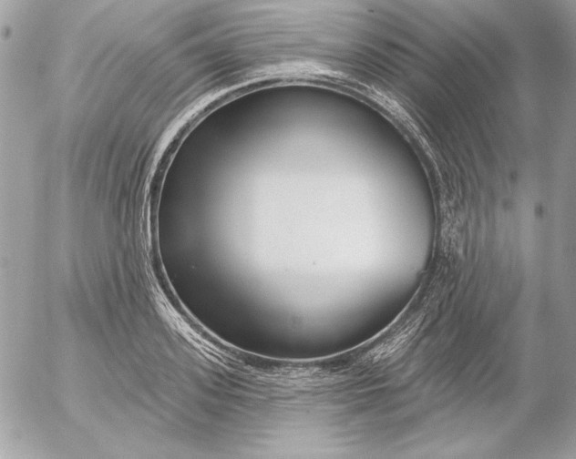 X0000054440939200508191607