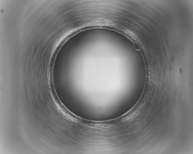 X0000054440942200508191607