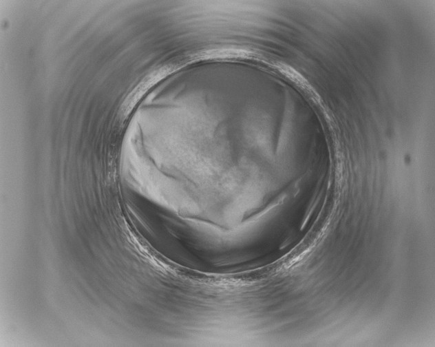 X0000054440945200508191608