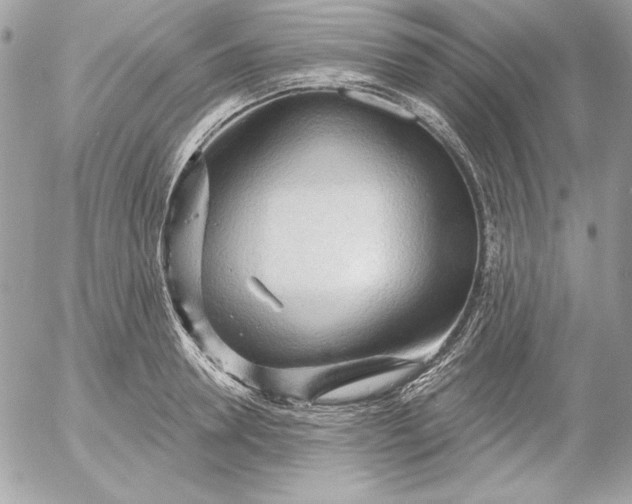 X0000054440946200508191608