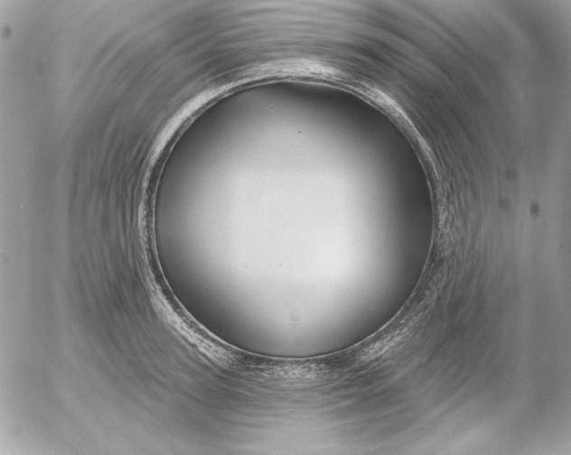 X0000054440947200508191608