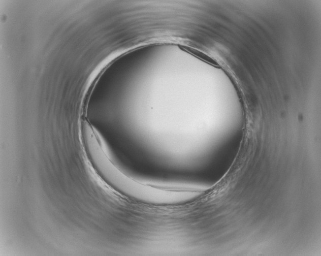 X0000054440955200508191608