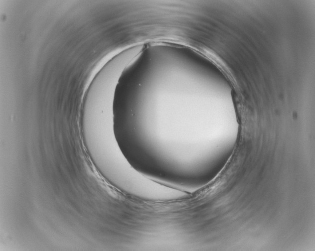 X0000054440956200508191608