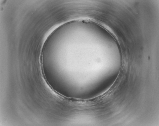 X0000054440959200508191608