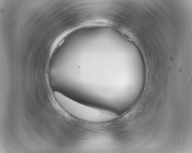 X0000054440960200508191608