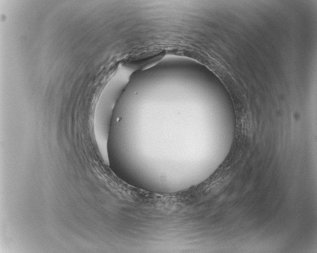 X0000054440961200508191607