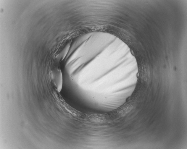 X0000054440962200508191607