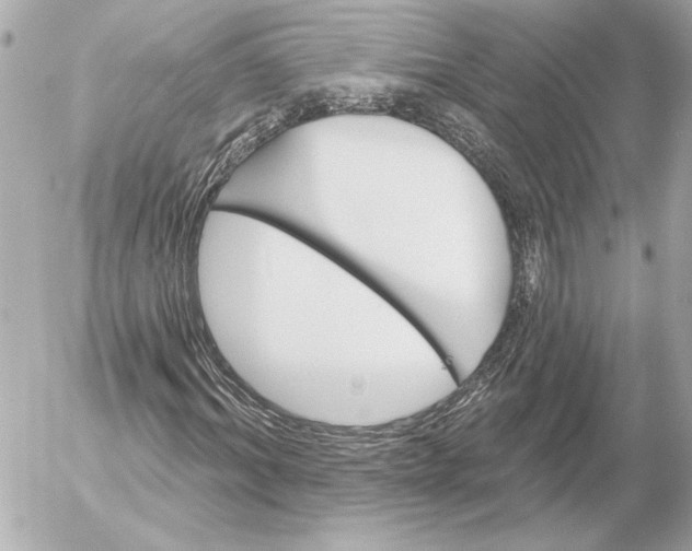 X0000054440964200508191607