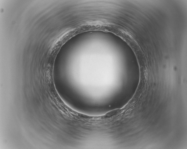 X0000054440968200508191607