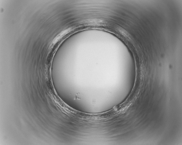 X0000054440970200508191607