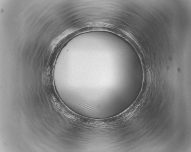 X0000054440971200508191607