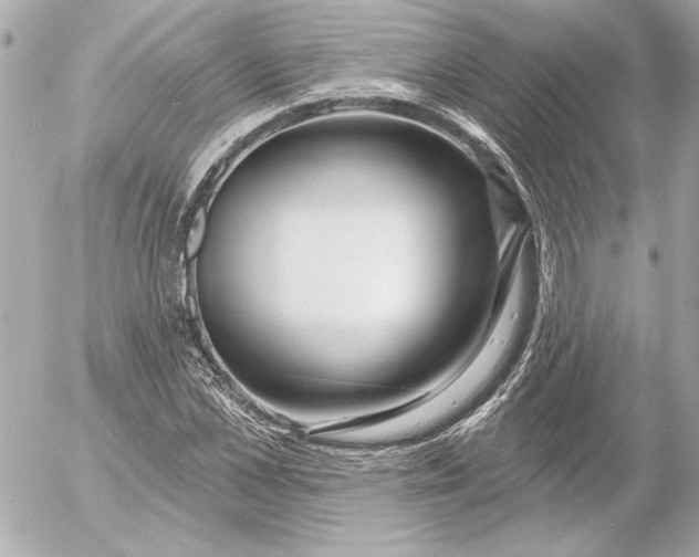 X0000054440973200508191607