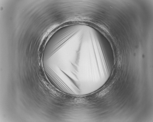 X0000054440974200508191607