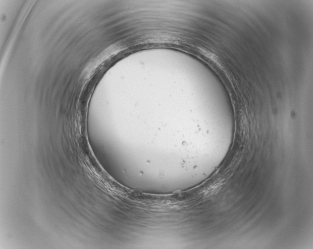 X0000054440979200508191607