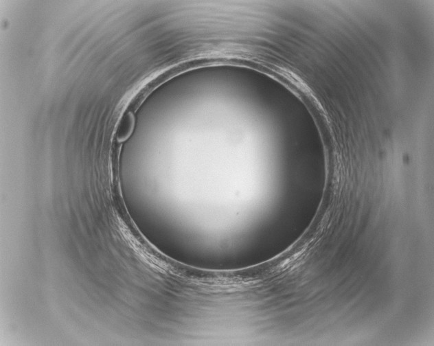 X0000054440980200508191607