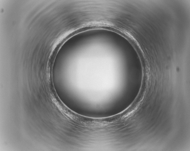 X0000054440981200508191607