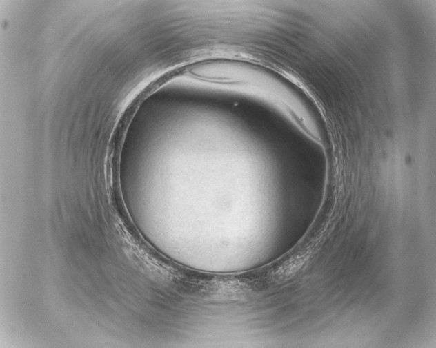 X0000054440983200508191607