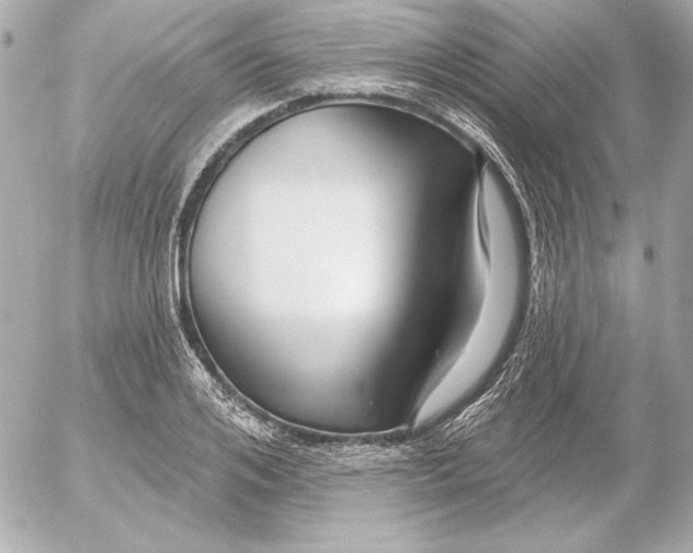 X0000054440984200508191607