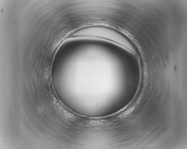 X0000054440985200508191607