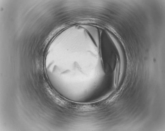 X0000054440986200508191607