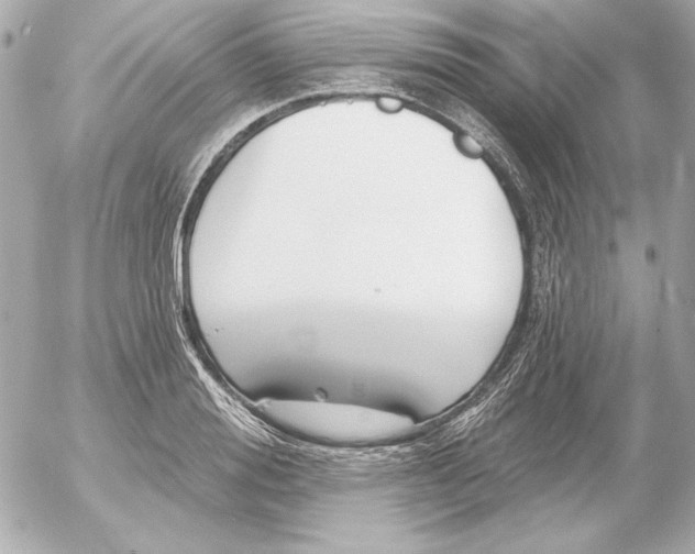 X0000054440988200508191607