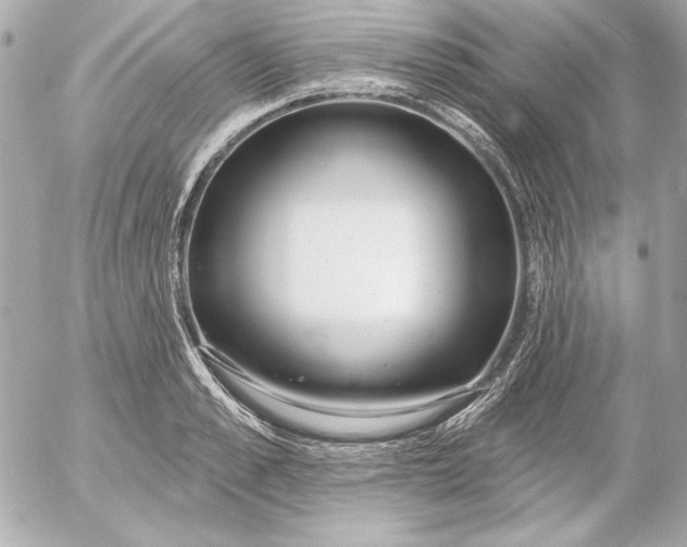 X0000054440989200508191607