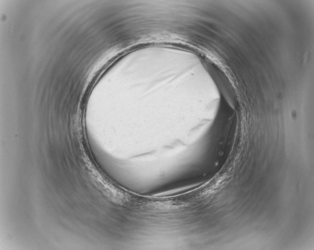 X0000054440990200508191606