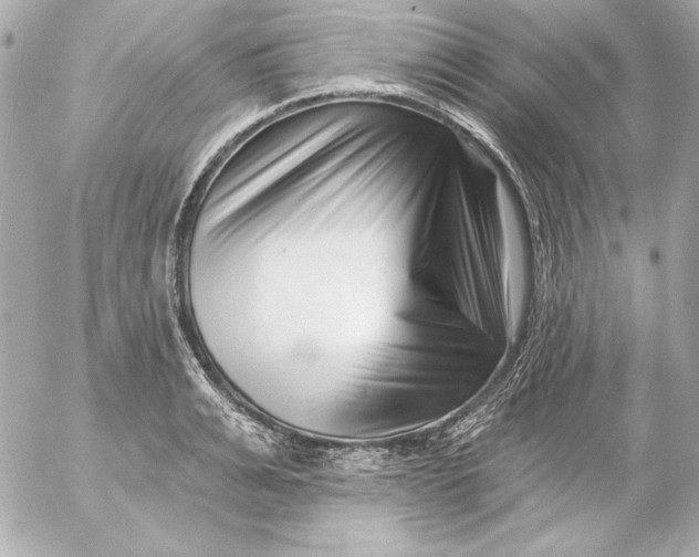 X0000054440991200508191606