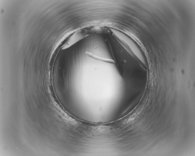 X0000054440992200508191606