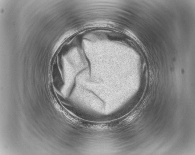 X0000054440994200508191606