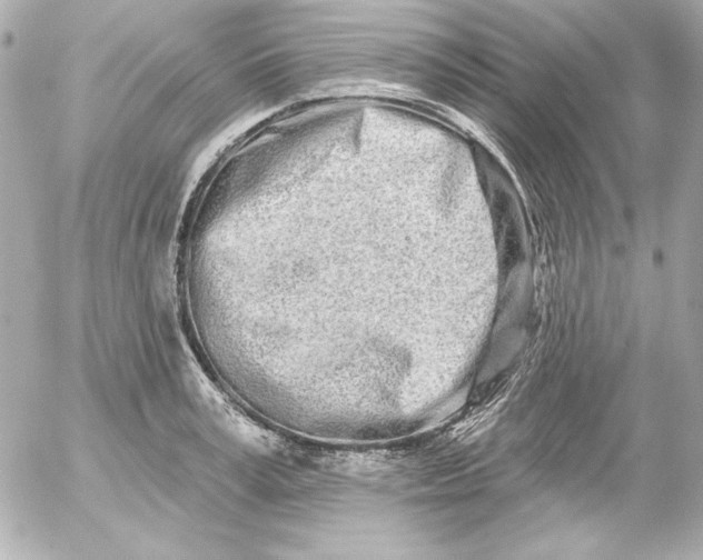 X0000054440995200508191606