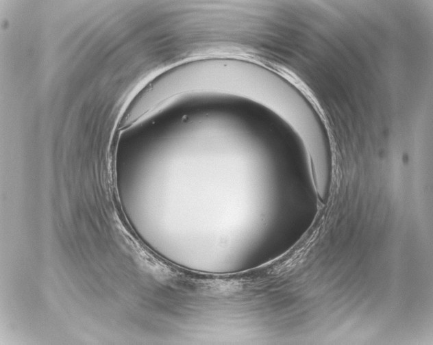 X0000054440996200508191606