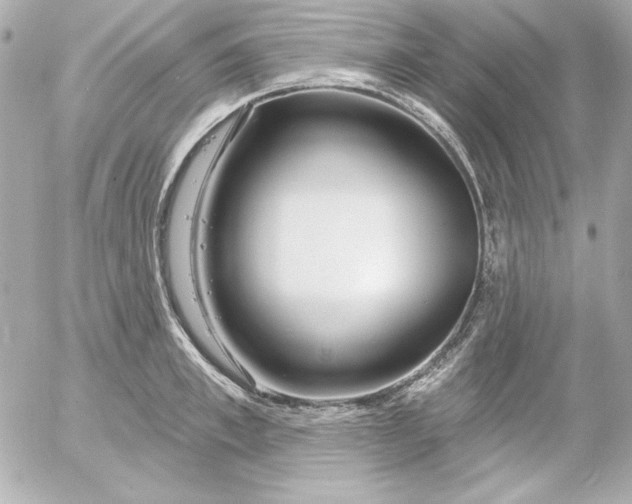 X0000054440997200508191606