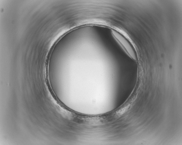 X0000054440999200508191606