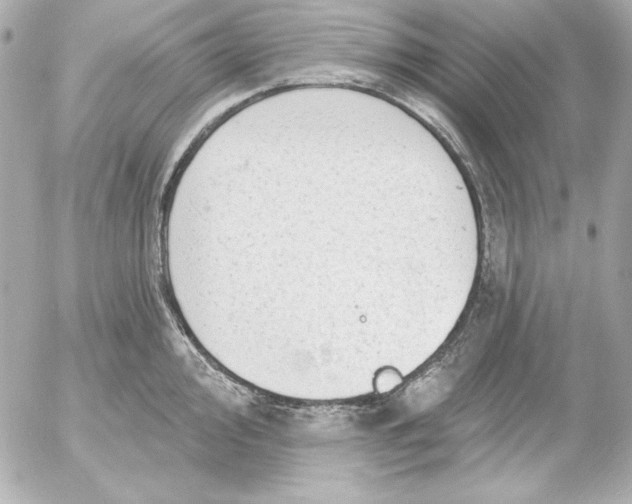 X0000054441000200508191606