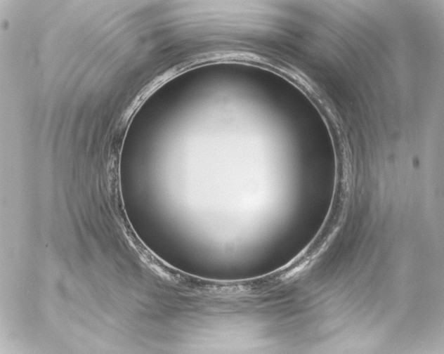 X0000054441001200508191606