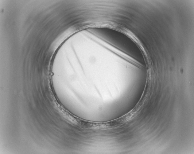 X0000054441002200508191606