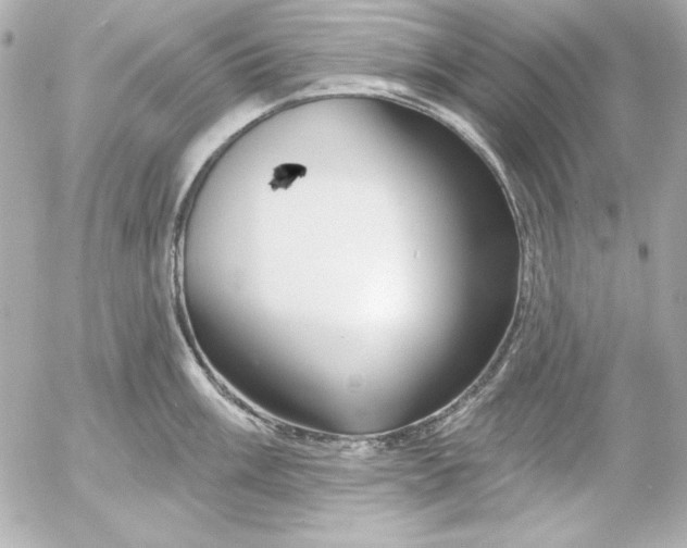 X0000054441003200508191606