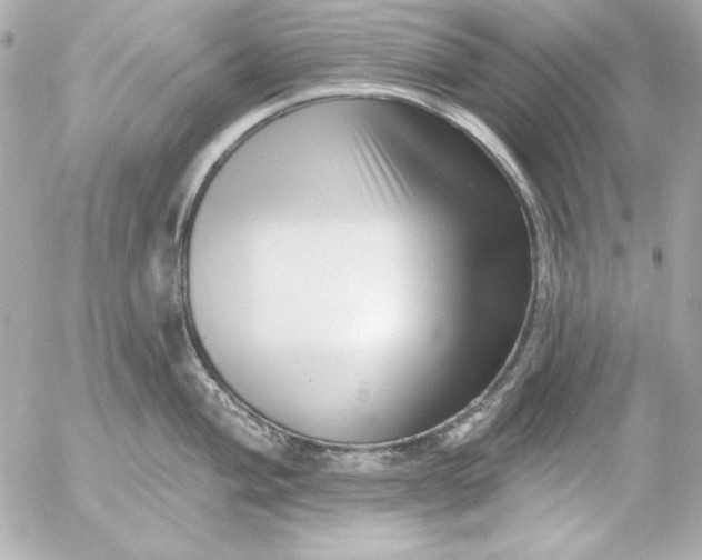 X0000054441004200508191606