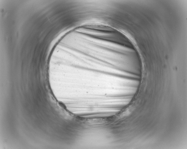 X0000054441008200508191606