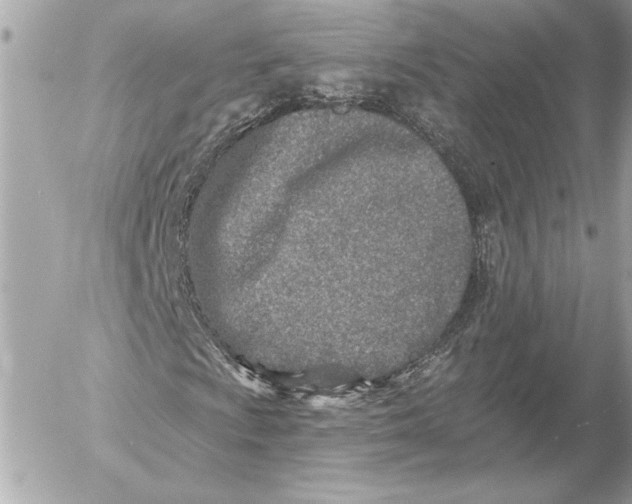 X0000054441009200508191605