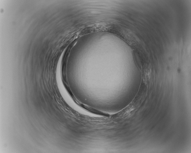 X0000054441010200508191605