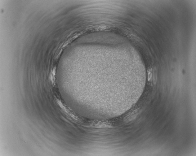 X0000054441011200508191605