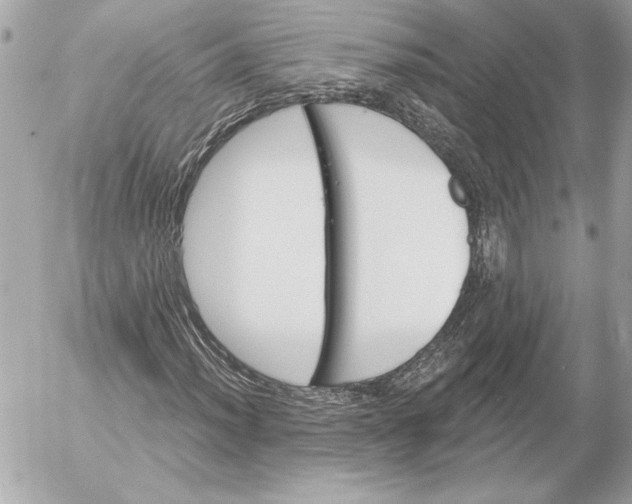 X0000054441012200508191605