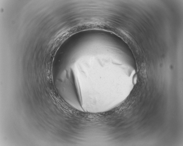 X0000054441015200508191605